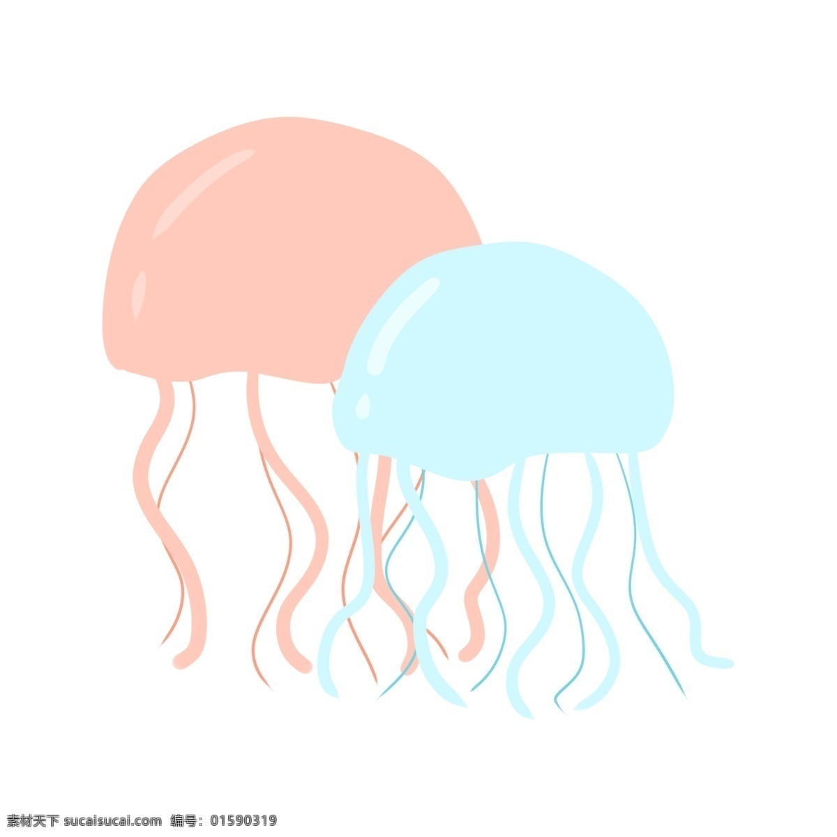 两个漂亮水母 水母 海洋生物 动物