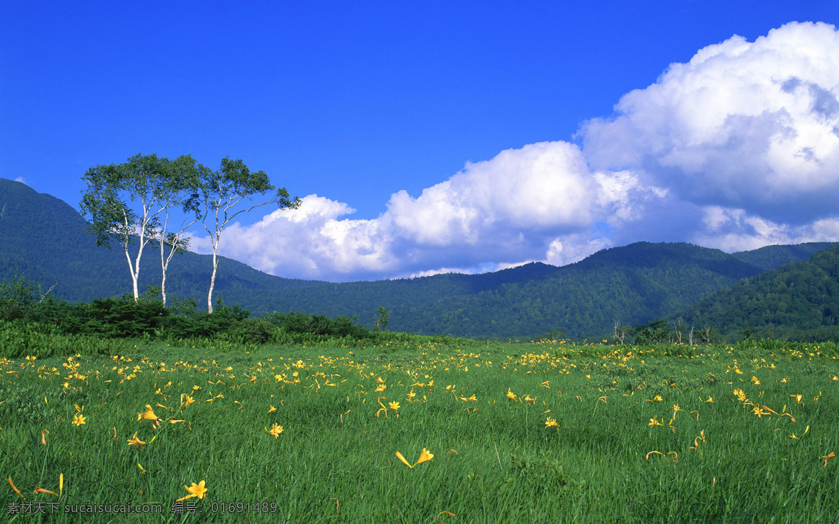 蓝天草地 草原 蓝天 白云 背景 草原背景 蓝天白云 绿草地 草地 高清 绿草 草地背景 绿色草地 草地蓝天 绿草地背景 草地天空 高清草地 天空草地 草地风景 自然景观 自然风景