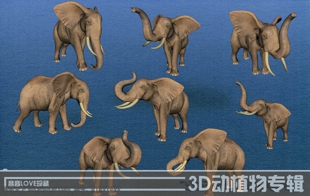 高清3d大象 3d 大象 象 动物 分层 源文件 动植物