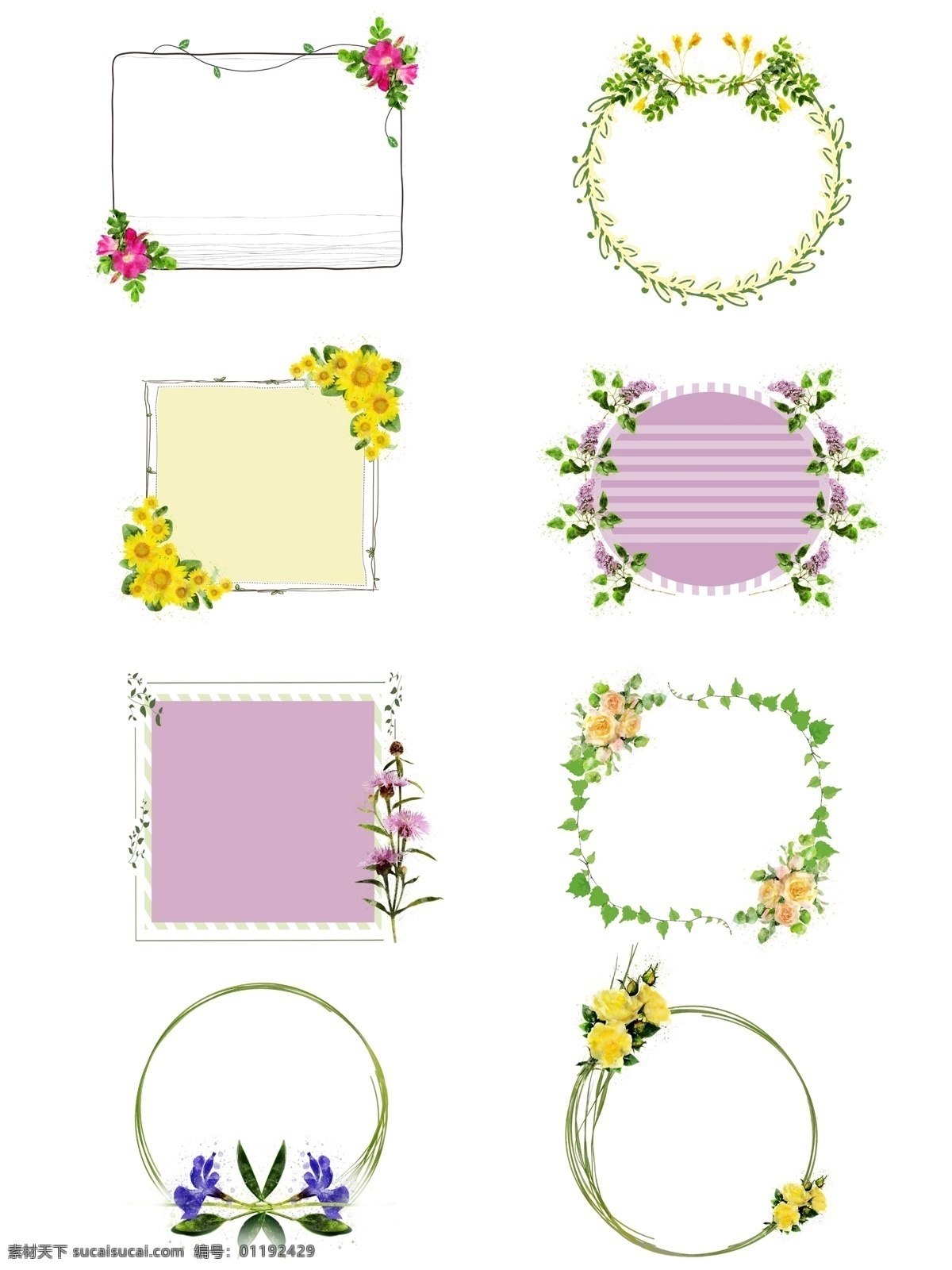 手绘 圆形 方形 植物 花卉 紫色 水彩 边框 元素 合集 绿色 手绘边框 黄色 植物边框 花卉边框 原创