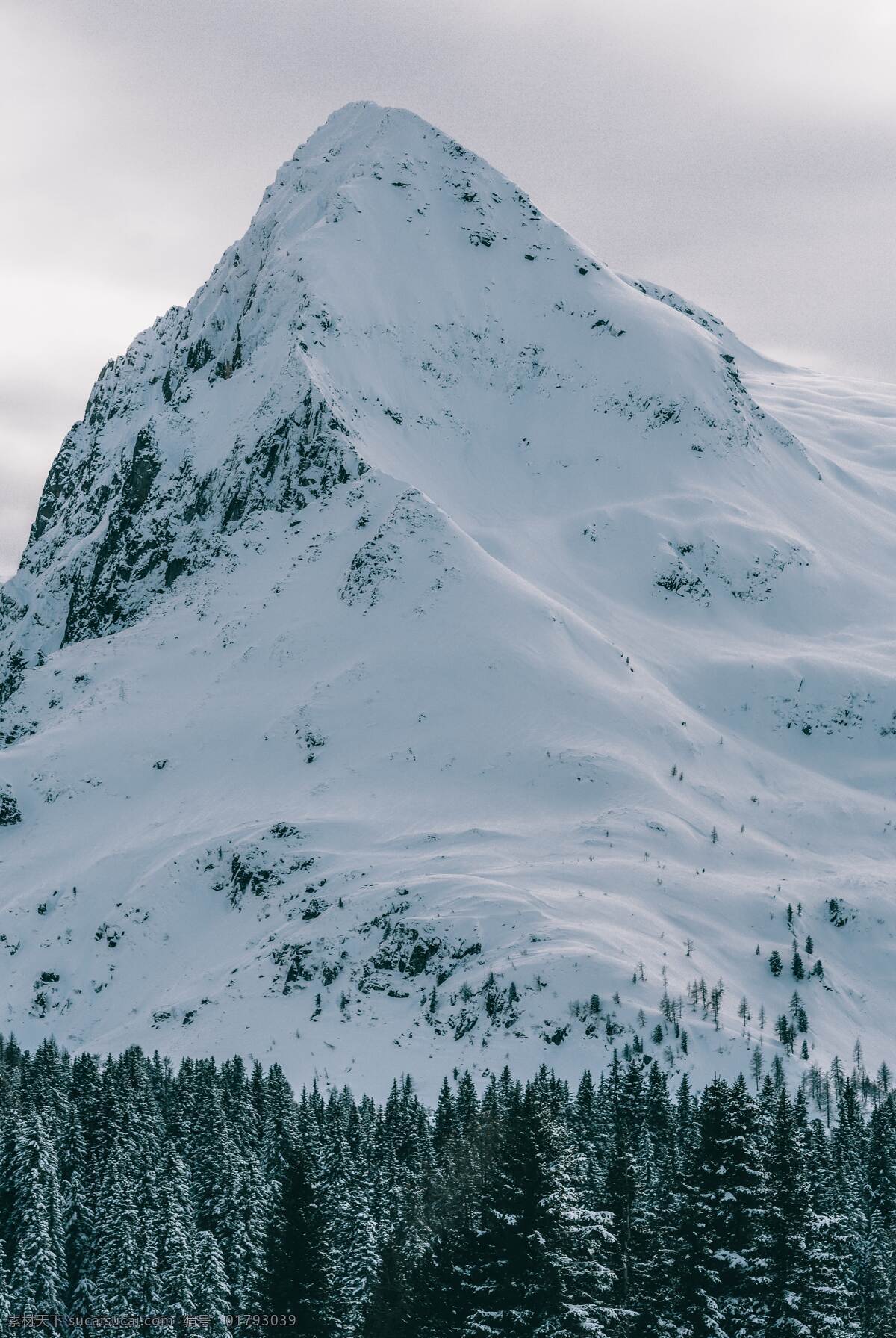 雪山之巅 山顶 雪花 白雪 冬雪 下雪 雪景 自然景观 自然风景