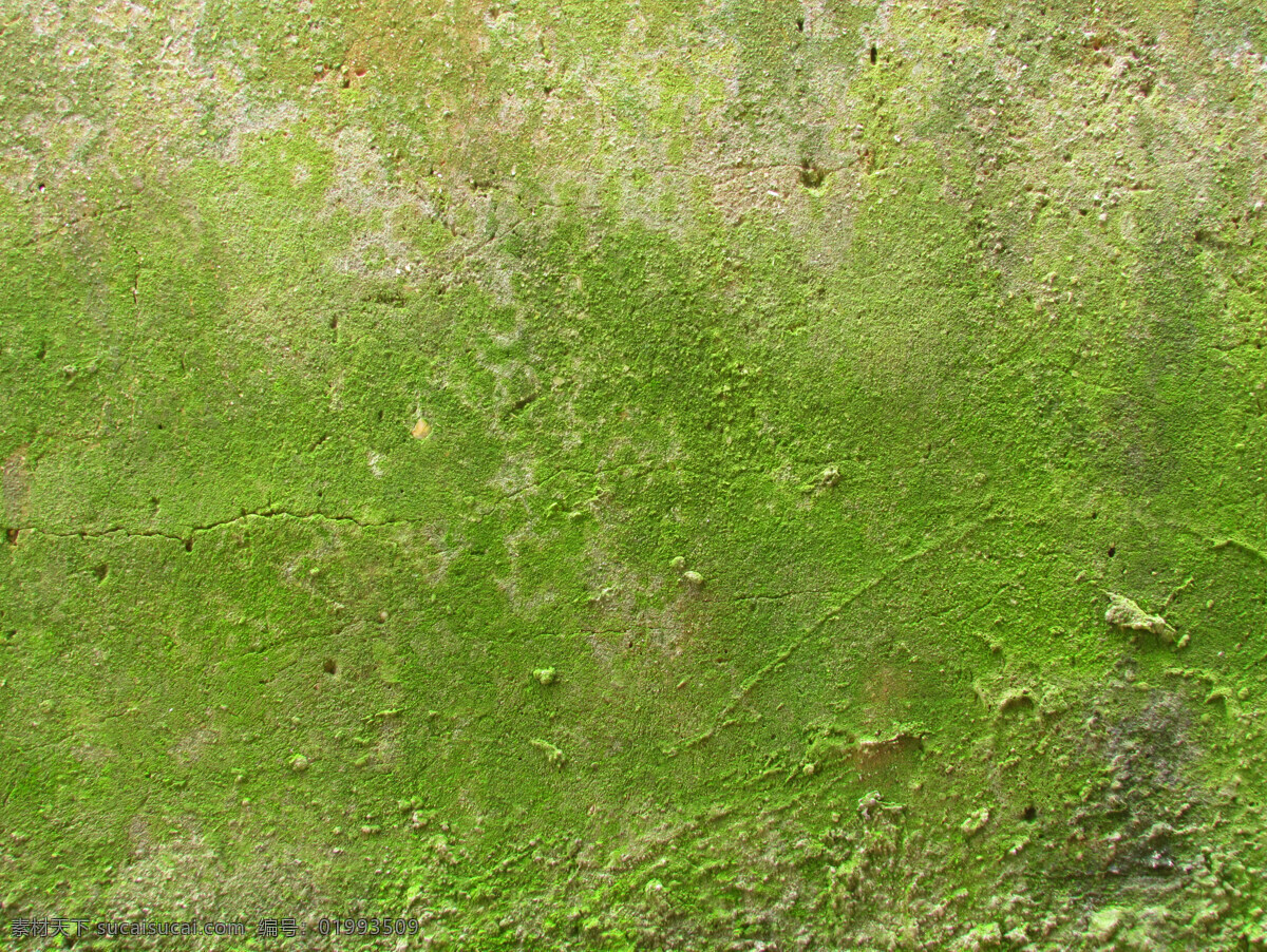 生 苔藓 水泥墙 绿苔 苔痕 背景 底纹 摄影素材 绿色