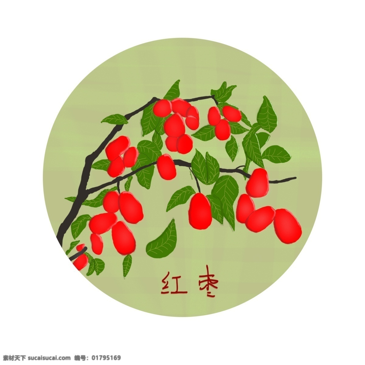 手绘红枣 手绘 红枣 绿叶 树枝 红色 生物世界 树木树叶