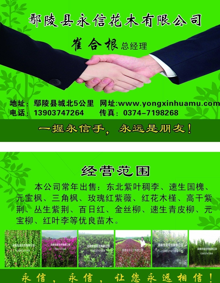 花卉名片 花卉 名片 苗木 园林 绿色 握手 名片卡片 广告设计模板 源文件