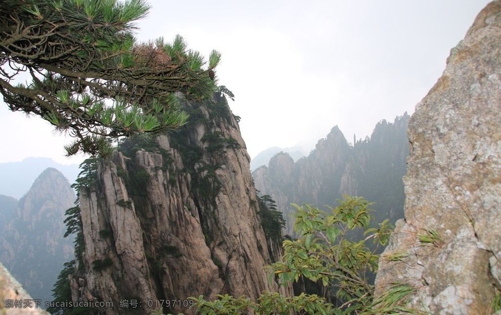 黄山风光 黄山旅游 黄山美景 黄山云海 旅游 云海 松树 高山 风景名胜 自然景观 安徽黄山 黄山秋色 黄山 安徽旅游景点 黄山景色 黄山山峰 山峰