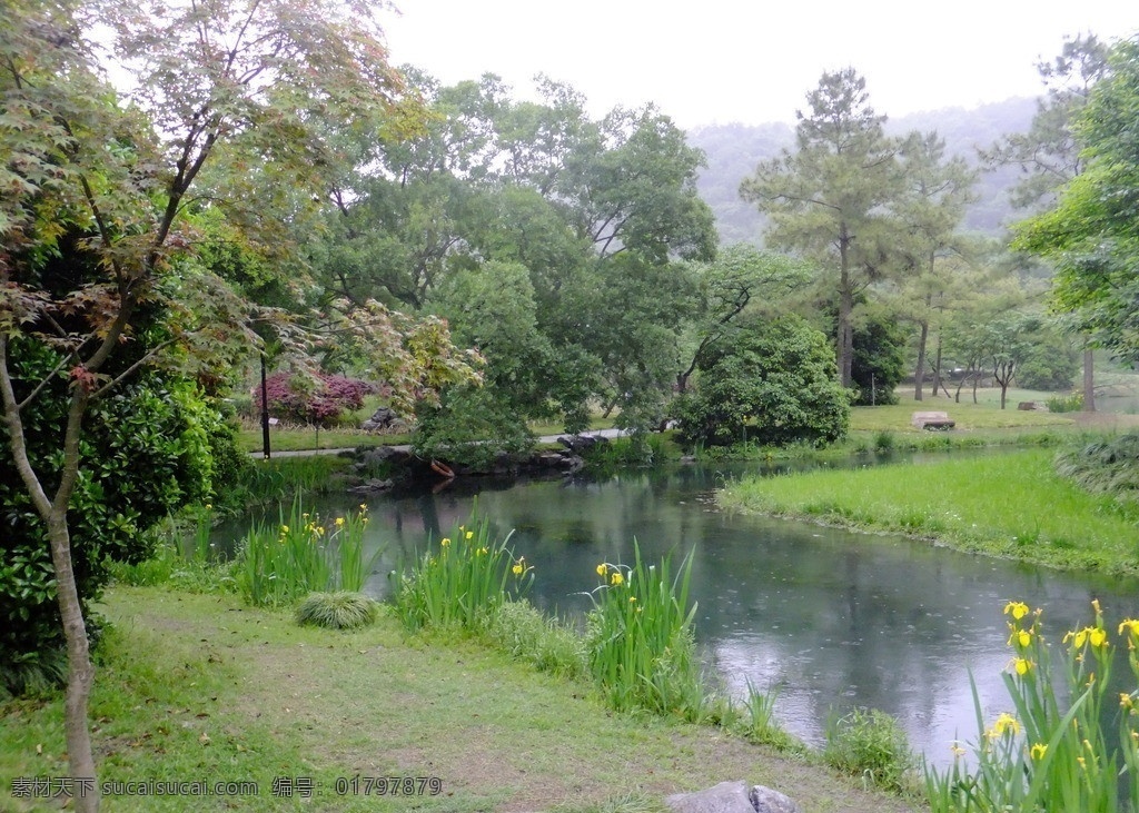 园林一景 远山 树林 茂密 夏天 小河 小草 花朵 绿地 天空 大地 河流 国内旅游 旅游摄影