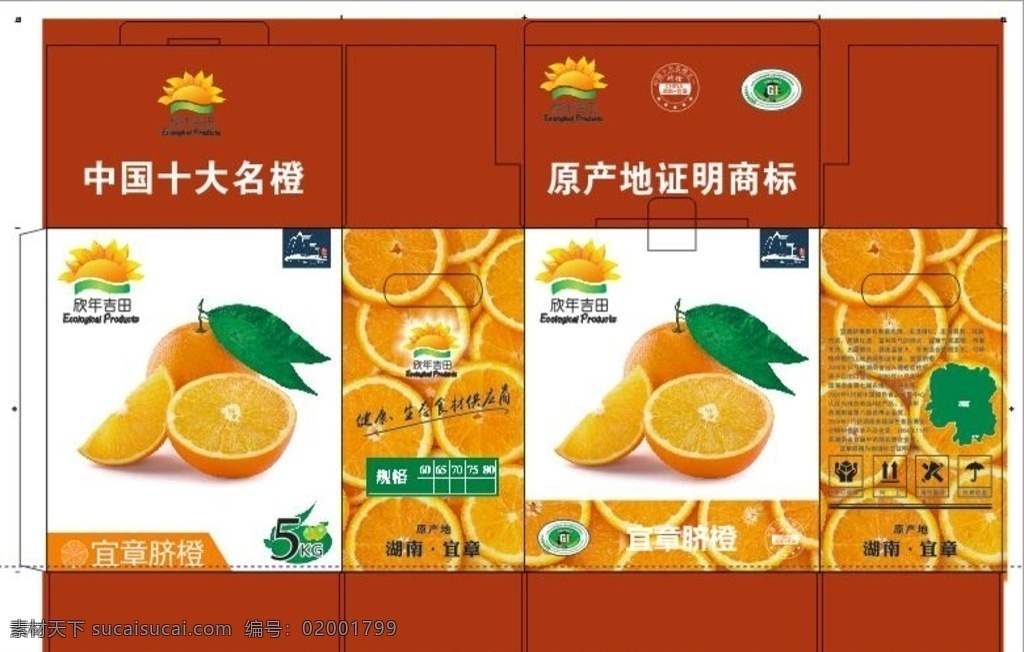 脐橙 礼盒装设计 礼盒设计 包装设计 橙子 橘子
