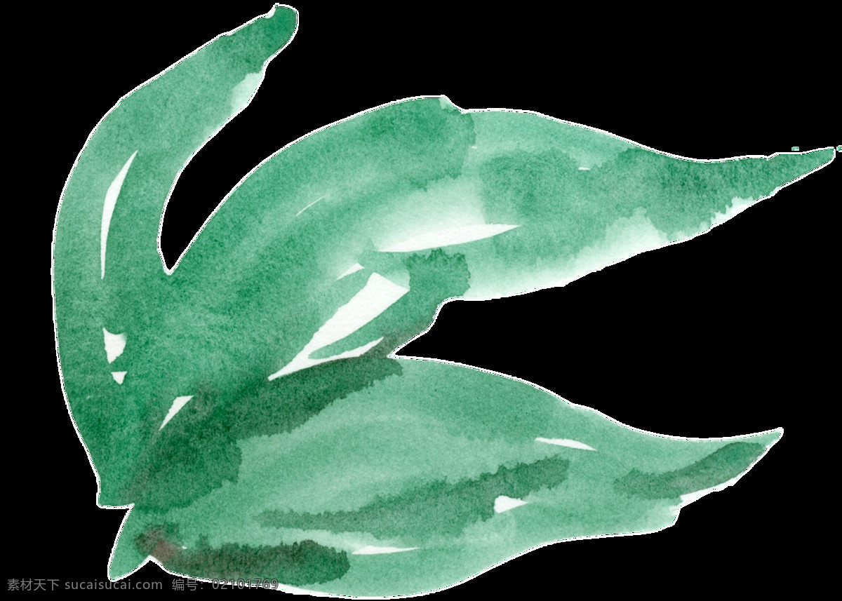水 嫩 海草 卡通 透明 海洋 植物 透明素材 免扣素材 装饰图案