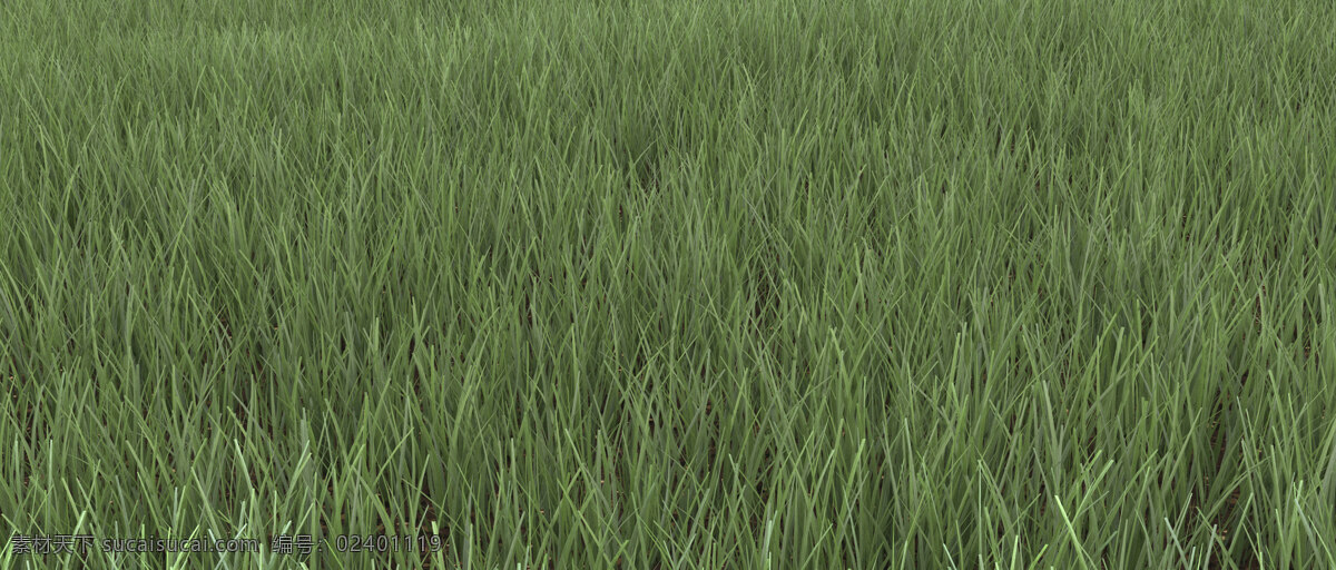 绿色 草地 背景 纹理 背景图片