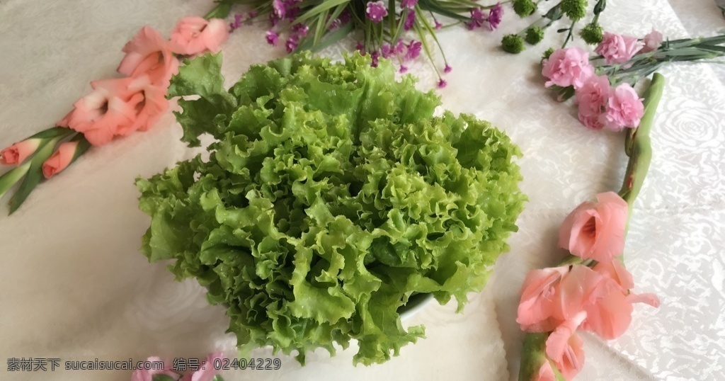 生菜 蔬菜 菜 新鲜 青菜 餐饮美食