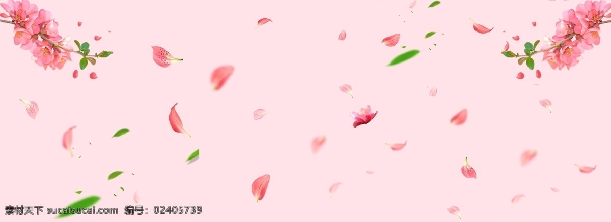 唯美 节日 花瓣 背景 图 女生节 妇女节 桃花 女王节 情人节 浪漫 落花