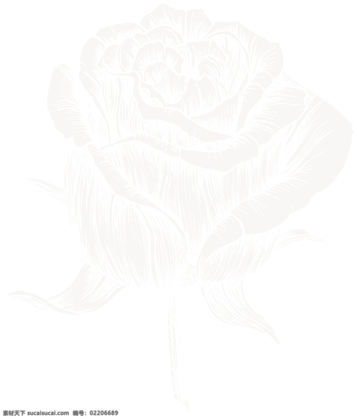 手绘 花朵 矢量 复古 花瓣 花蕊 玫瑰 矢量素材 线条 颜颜丶一个人 矢量图 其他矢量图