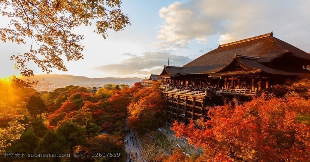 日本景观 唯美 风景 风光 旅行 日本 京都 京都红叶 旅游摄影 国外旅游