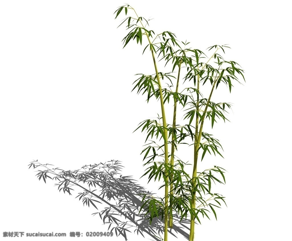 su植物模型 竹子 su竹子模型 su植物素材 sketchup 植物 su树 3d植物模型 景观设计 园林设计 植物素材 su配景 skp植物 草图大师植物 景观 su模型 su3d树 su植物 环境设计 skp