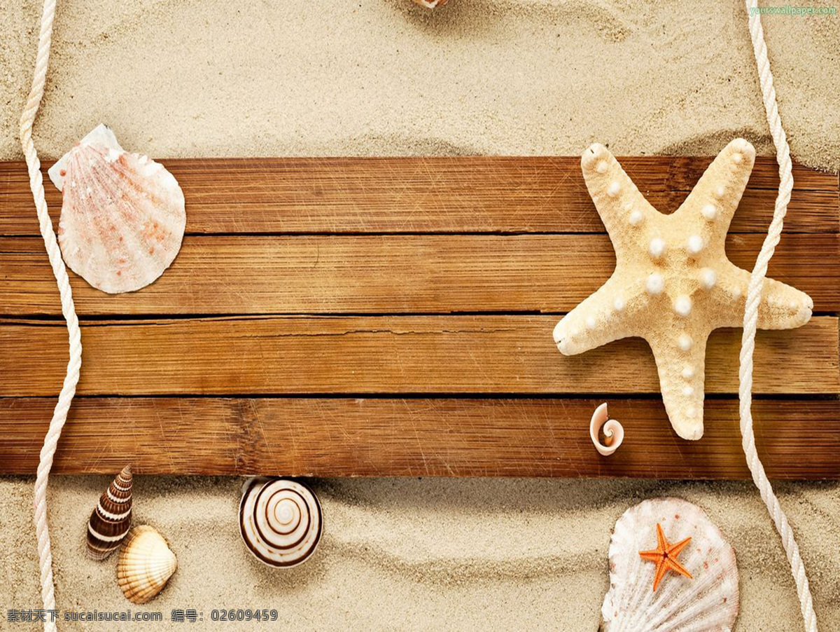 海星贝壳木紋 海星 贝壳 木紋 海洋 背景 自然景观 自然风景