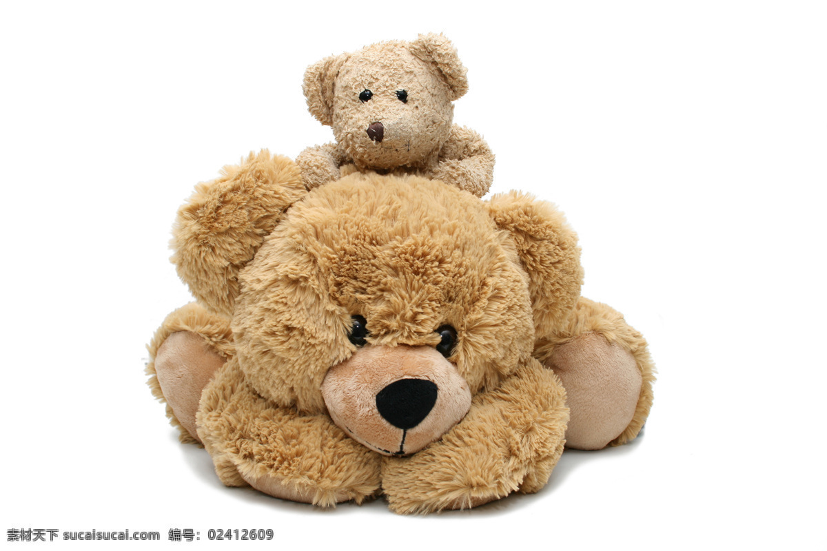 可爱 毛绒玩具 泰迪熊 玩具 儿童玩具 熊 毛绒熊 玩具熊 其他类别 生活百科 白色