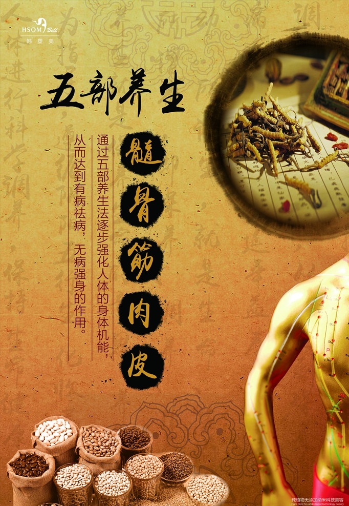 传统中医图片 中国传统文化 中医传统文化 传统展板 中医 中医展板 中医海报 中医挂画 中医挂图 医馆 国医堂 文化墙 中医文化 中医文化墙 医院文化墙 中医院文化墙 传统中医 中药文化 医院形象墙 中式文化墙 老药铺 名医堂 传统文化墙