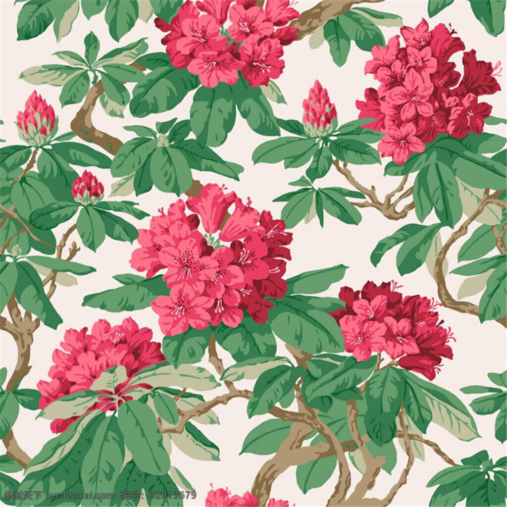 清新 自然 鲜红色 花朵 壁纸 图案 绿色树叶 鲜花壁纸 鲜花图案 植物壁纸 自然壁纸