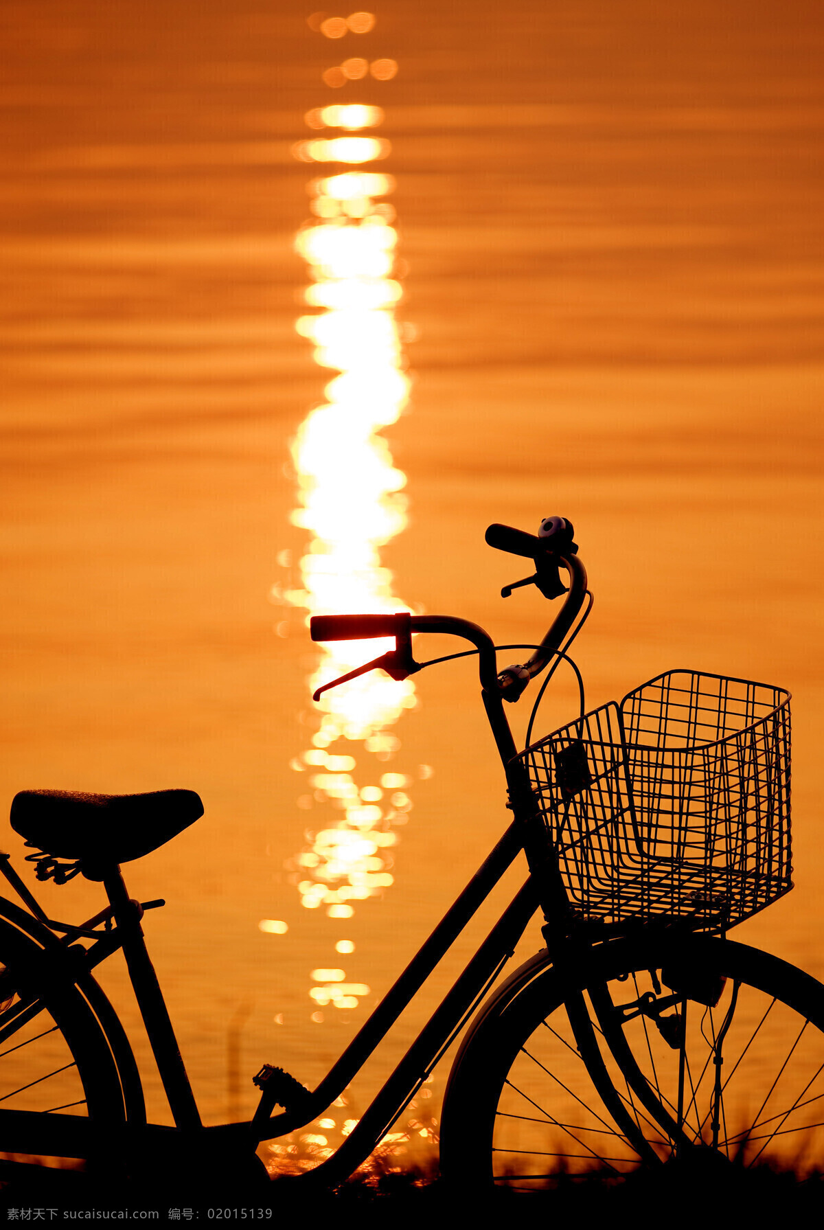 夕阳 下 自行车 海边 户外 生活人物 人物图库 人物图片