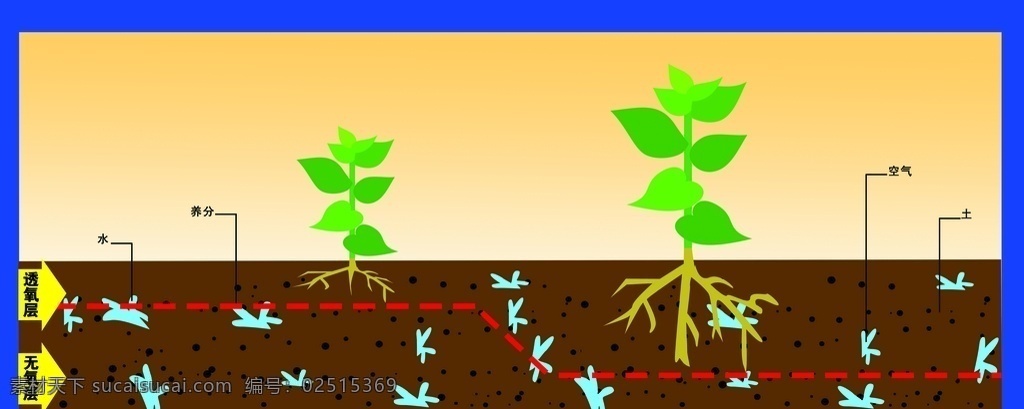 根系图 根系 植物根 营养成分划分 植物根茎 生物世界 树木树叶