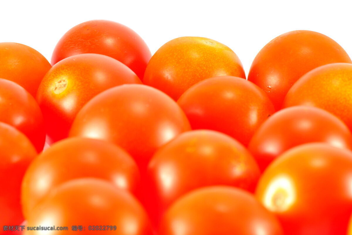 新鲜 小 番茄 高清 西红柿 红色番茄 蔬菜 水果