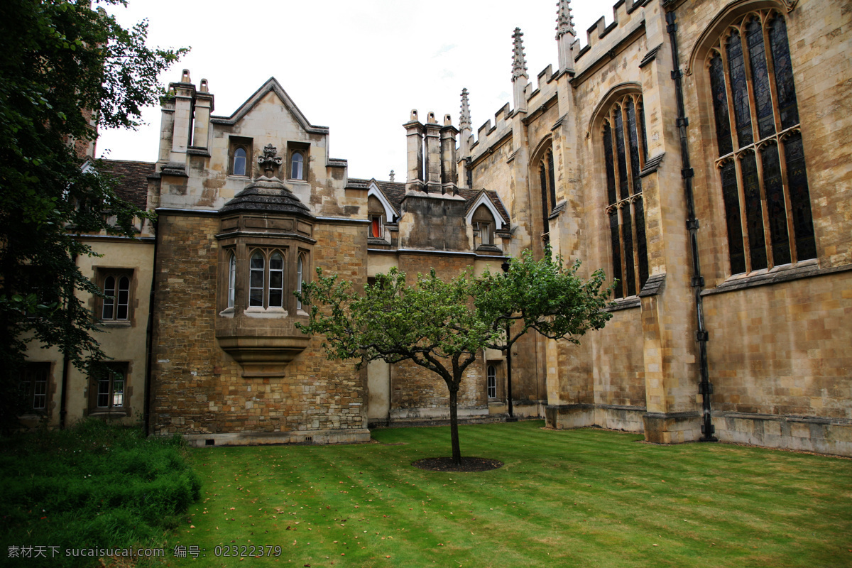 草坪 建筑摄影 建筑园林 欧式建筑 苹果树 剑桥大学 欧式 建筑 家居装饰素材