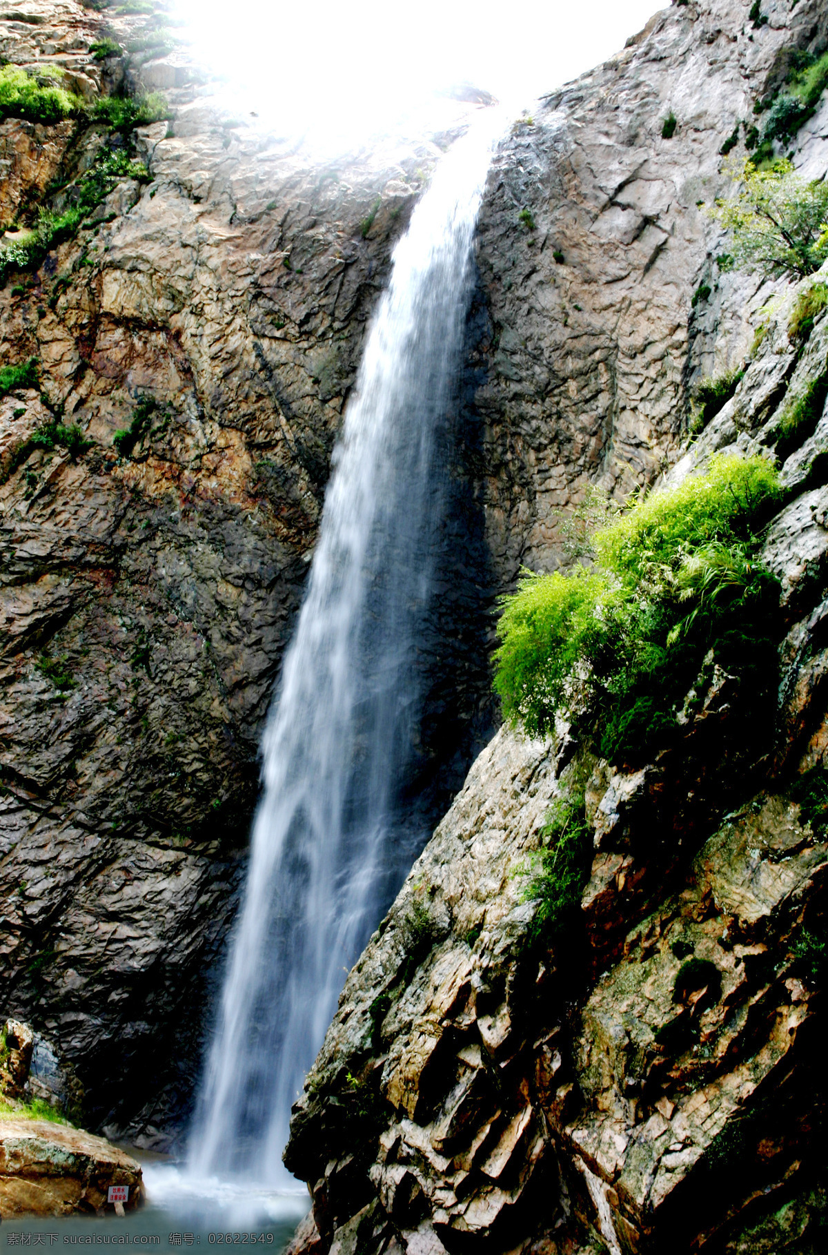 树免费下载 风景 山 山水风景 摄影图 树 植物 自然景观 水 家居装饰素材 山水风景画