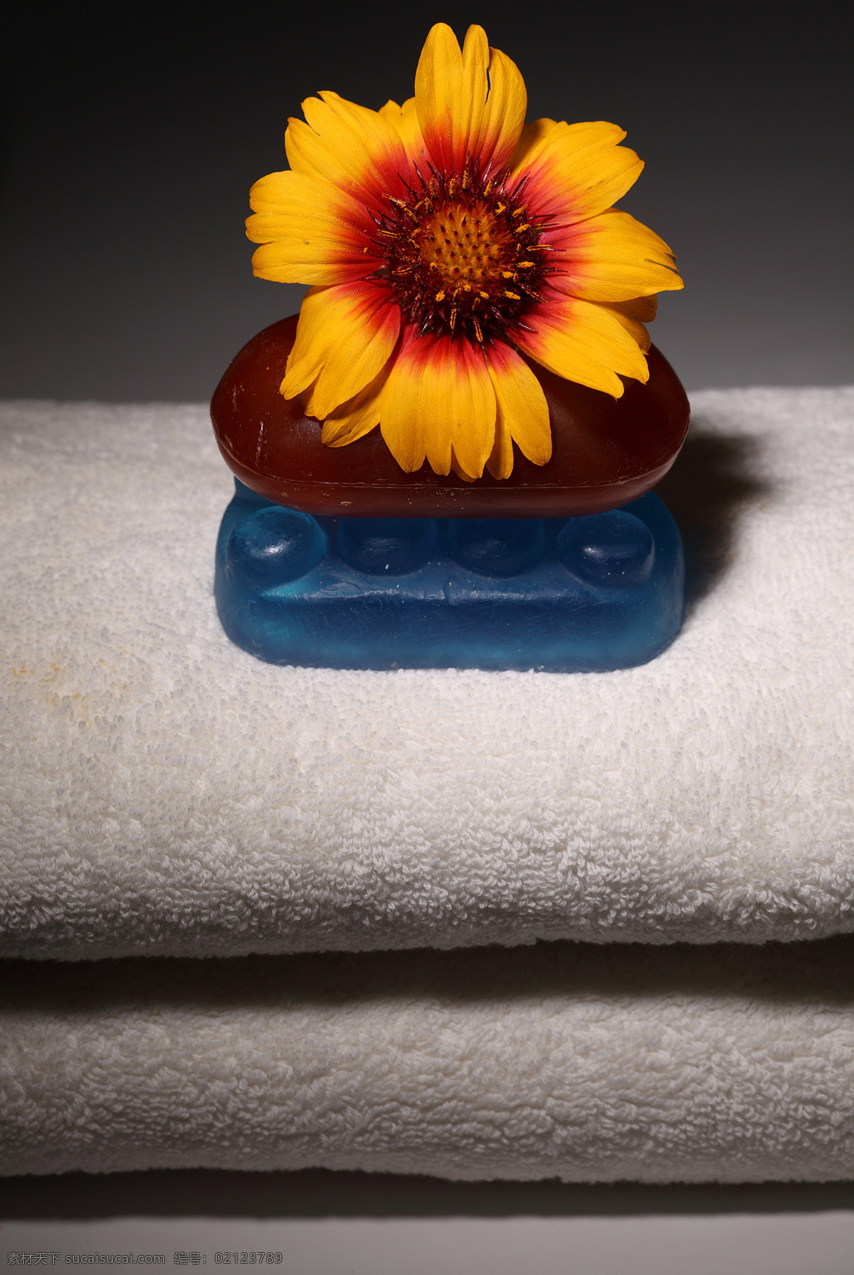 毛巾 石头 美容用品 向日葵 花朵 护肤品 spa用品 生活用品 生活百科 黑色