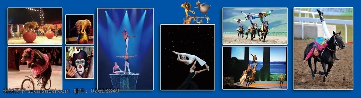 杂技 马戏 动物表演 马戏团 海报喷绘 背景
