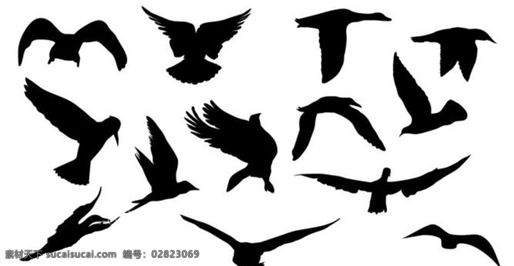 可循 环 鸟儿 飞翔 剪影 视频 循环 小鸟 飞鸟 翅膀 带通道 动物 鸽子 鸟群 飞行 黑白 视频资源 多媒体 flash 动画 动画素材 mov