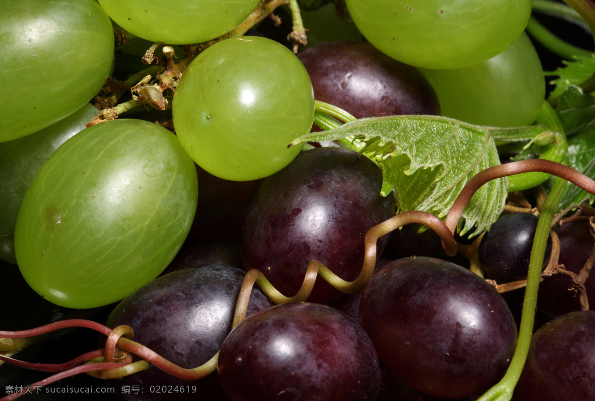 堆 新鲜 葡萄 提子 新鲜水果 水果摄影 果实 水果蔬菜 餐饮美食 水果图片