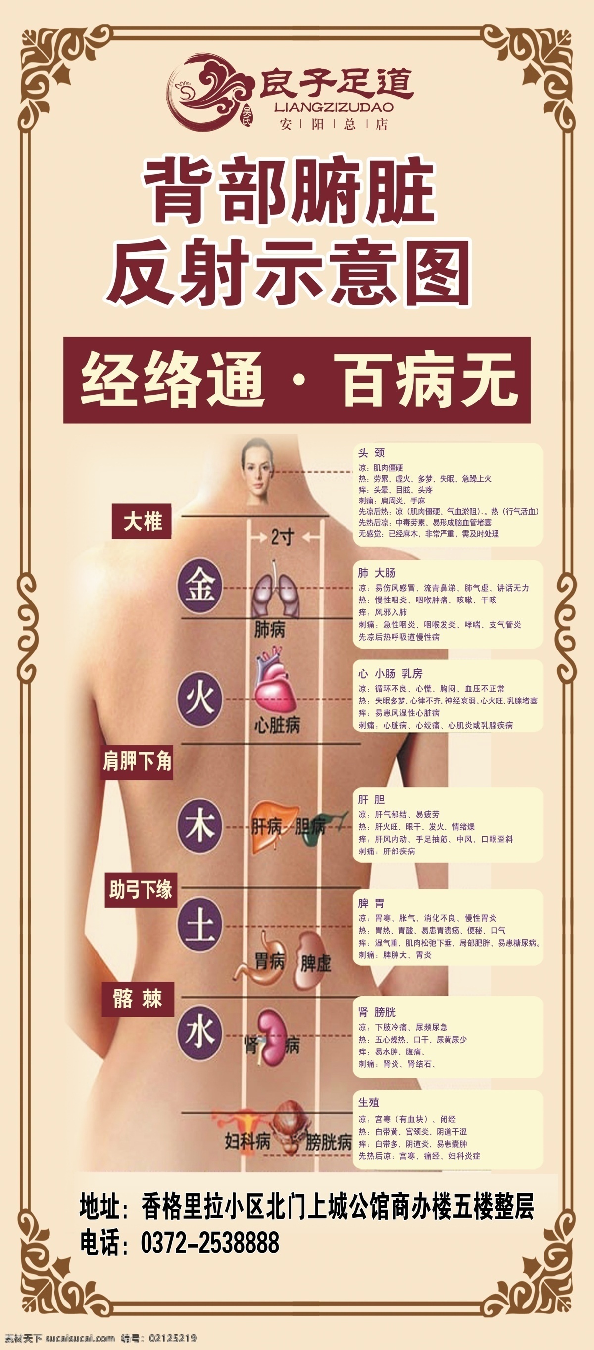 背诊图背部反射素材图片下载-素材编号02125219-素材天下图库