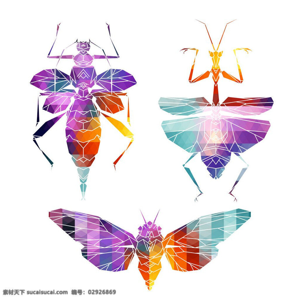 彩色的昆虫 彩色 昆虫 昆虫标本 五彩昆虫 矢量 蝴蝶