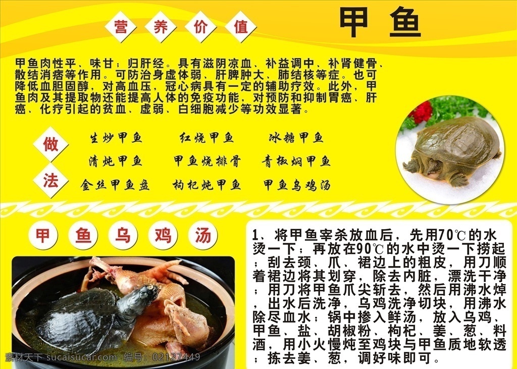 新鲜甲鱼 美味甲鱼 甲鱼做法 黄色 甲鱼推广 甲鱼广告