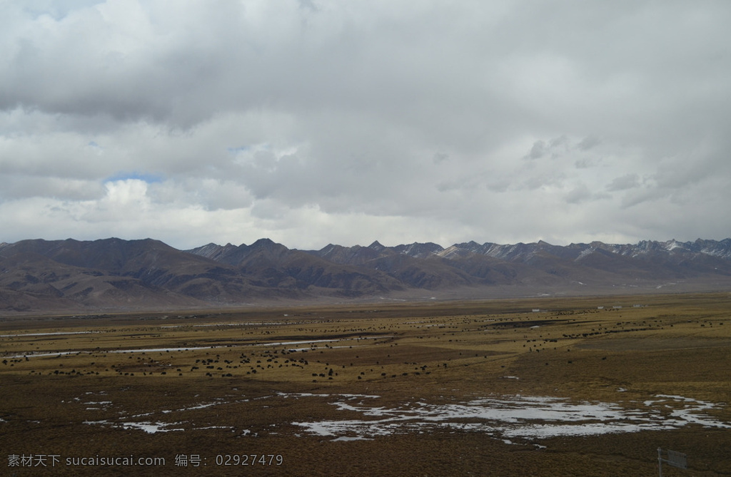 青藏高原 青藏铁路拍摄 西藏 拉萨 蓝天白云 雪山 牧场 风景 枯黄 冬季牧场 旅游摄影 国内旅游 灰色