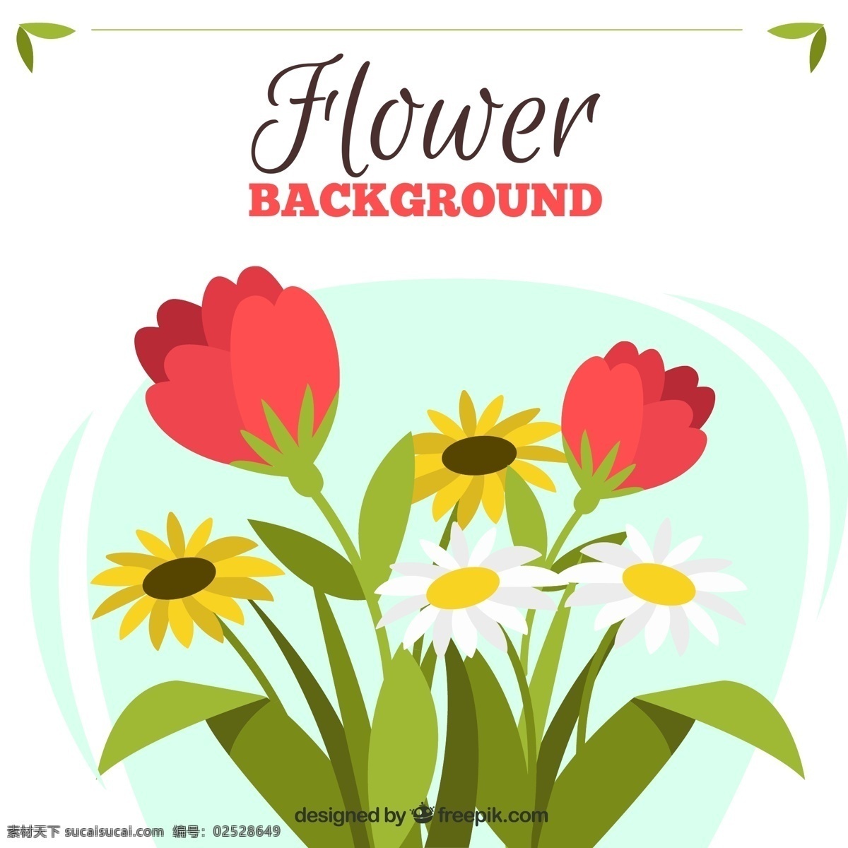 各种花卉背景 花卉元素背景 花卉素材 花卉元素 花卉 白色