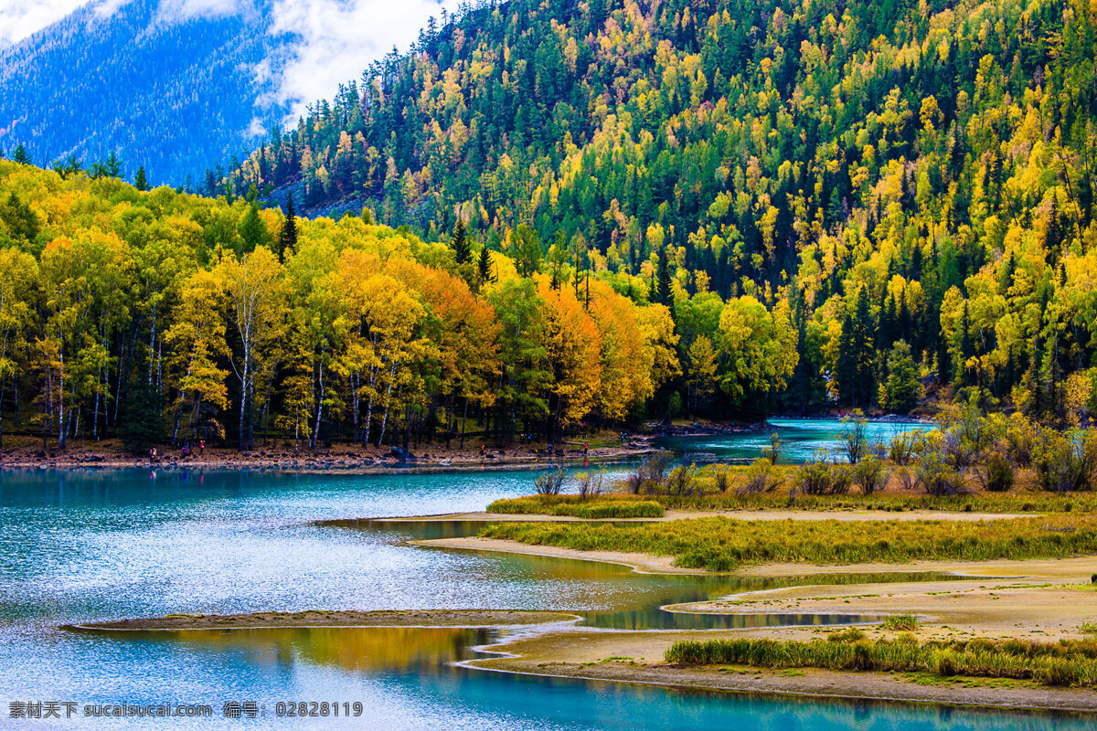 新疆 喀纳斯湖 金秋 风景
