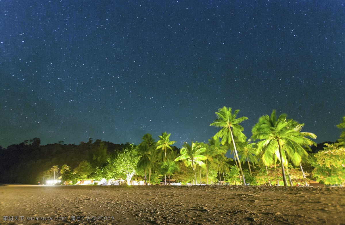 夜晚 美丽 椰子树 星光 树 沙滩 高山 灯光 大海图片 风景图片