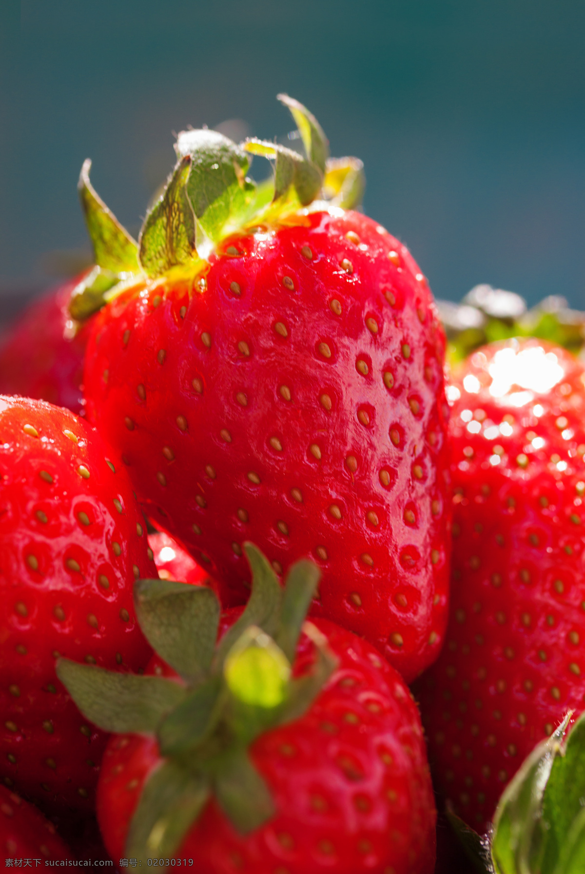草莓 高清图片 水果 高清水果 水果大图 蔬菜水果