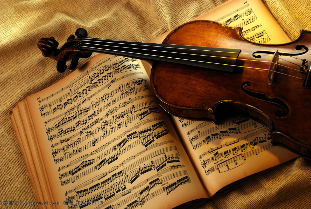 音乐 主题 素材图片 生活百科 高清图片 摄影图片 音乐器材 音乐主题 小提琴 琴谱 乐谱 影音娱乐