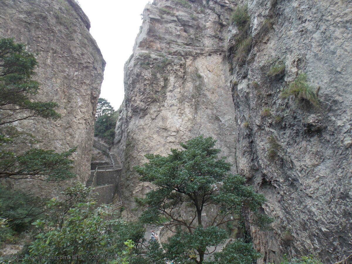 山峰 树叶 岩石 峭壁 乔木 雁荡山 山水风景 自然景观