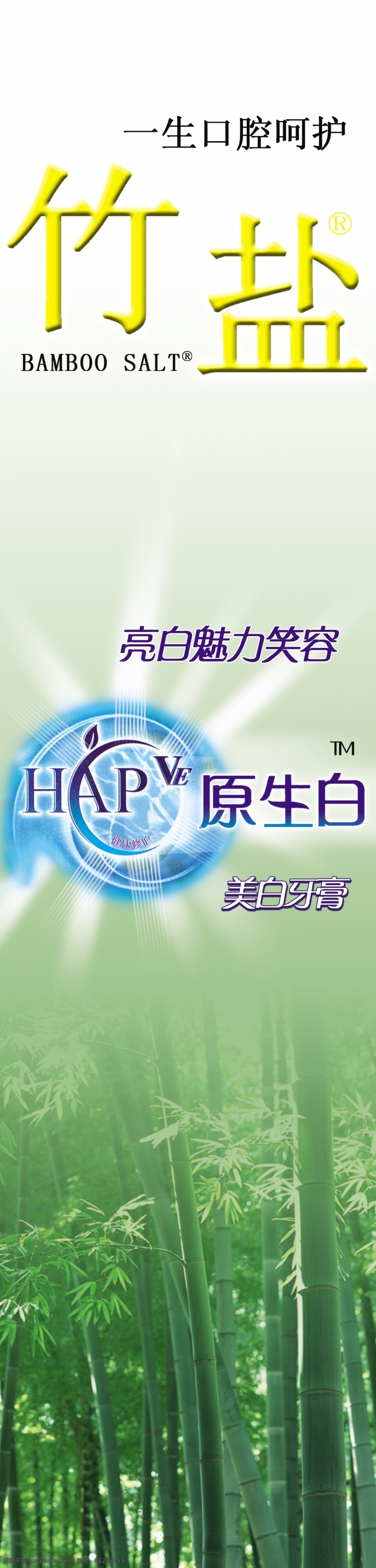 竹 盐 分层 绿色 牙膏 源文件 竹子 竹盐 矢量图 日常生活