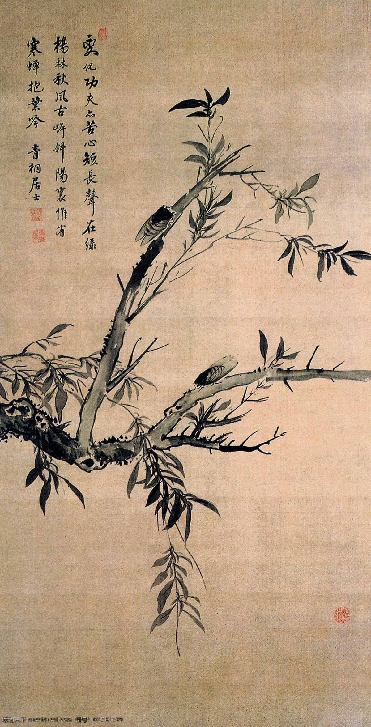 清 蒋 廷 锡 柳 蝉 图 传统 大师 花鸟画 绘画 绘画书法 名画 名家 名人 明清 人物画 山水画 书法 海外遗珍 中国 明四家 文化艺术 字画 印章