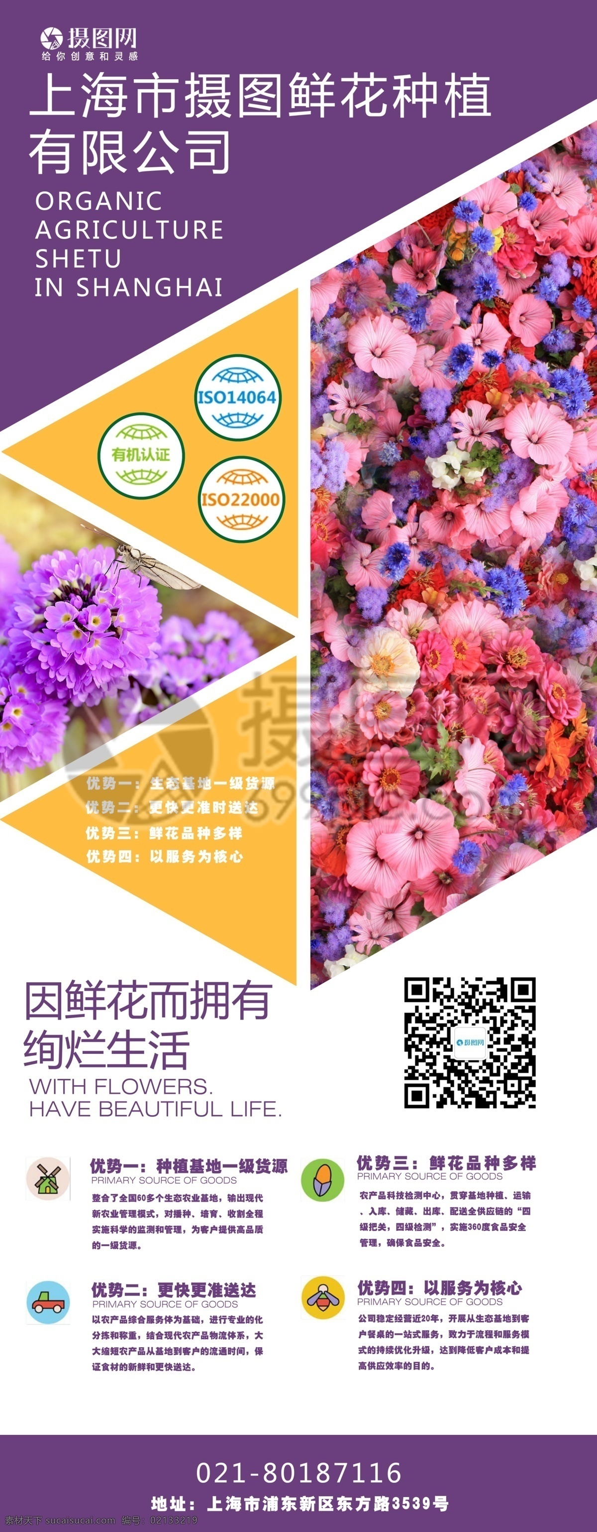 鲜花店 宣传 展架 易拉宝 鲜花 种植 基地 采摘 花海 紫色 黄色 鲜艳
