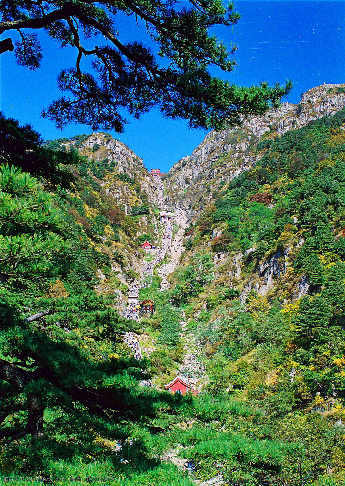 泰山十八盘 山路 风景图片 自然风景 自然景观