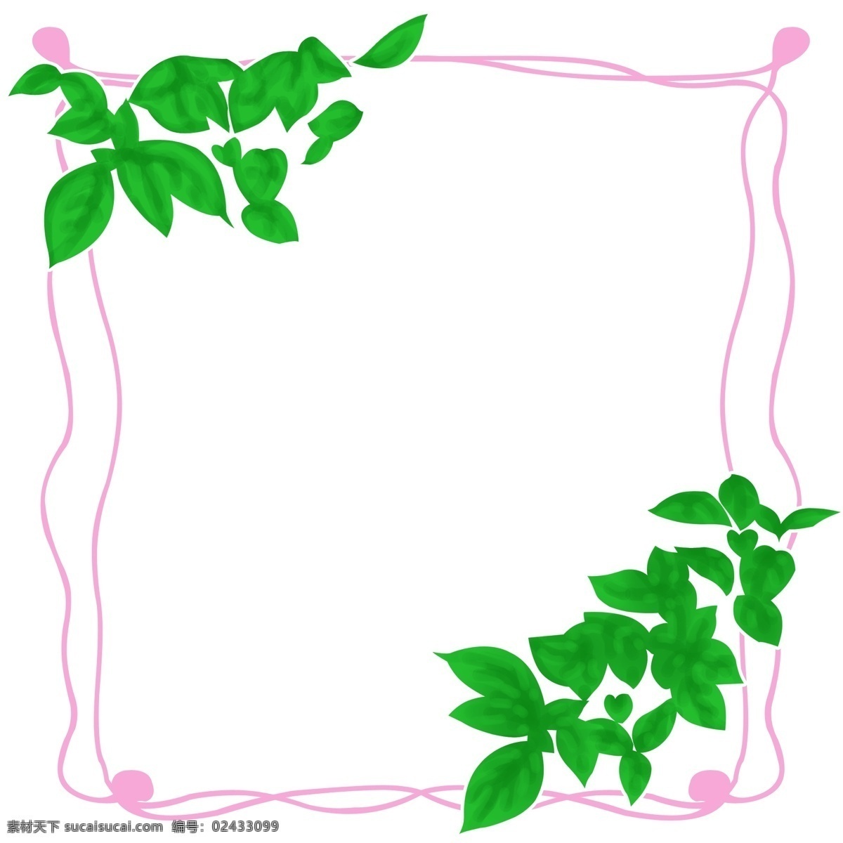 植物 边框 卡通 插画 粉色