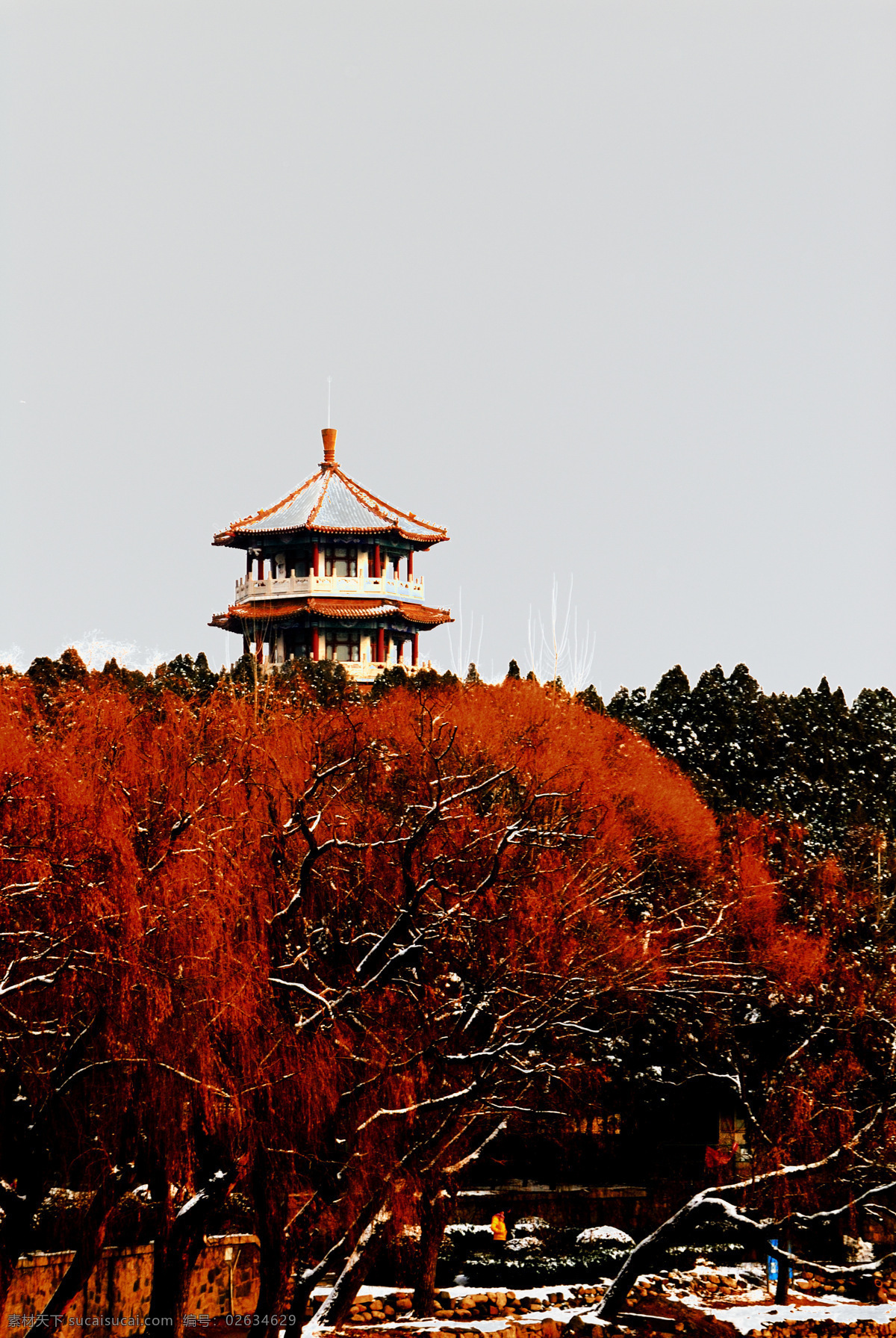 冬雪 中 虎山 阁 冬天 塔楼 虎山阁 柱形塔顶 飞檐 红色塔柱 多彩树木 游人 天空 泰山雪景 自然风景 自然景观 黑色