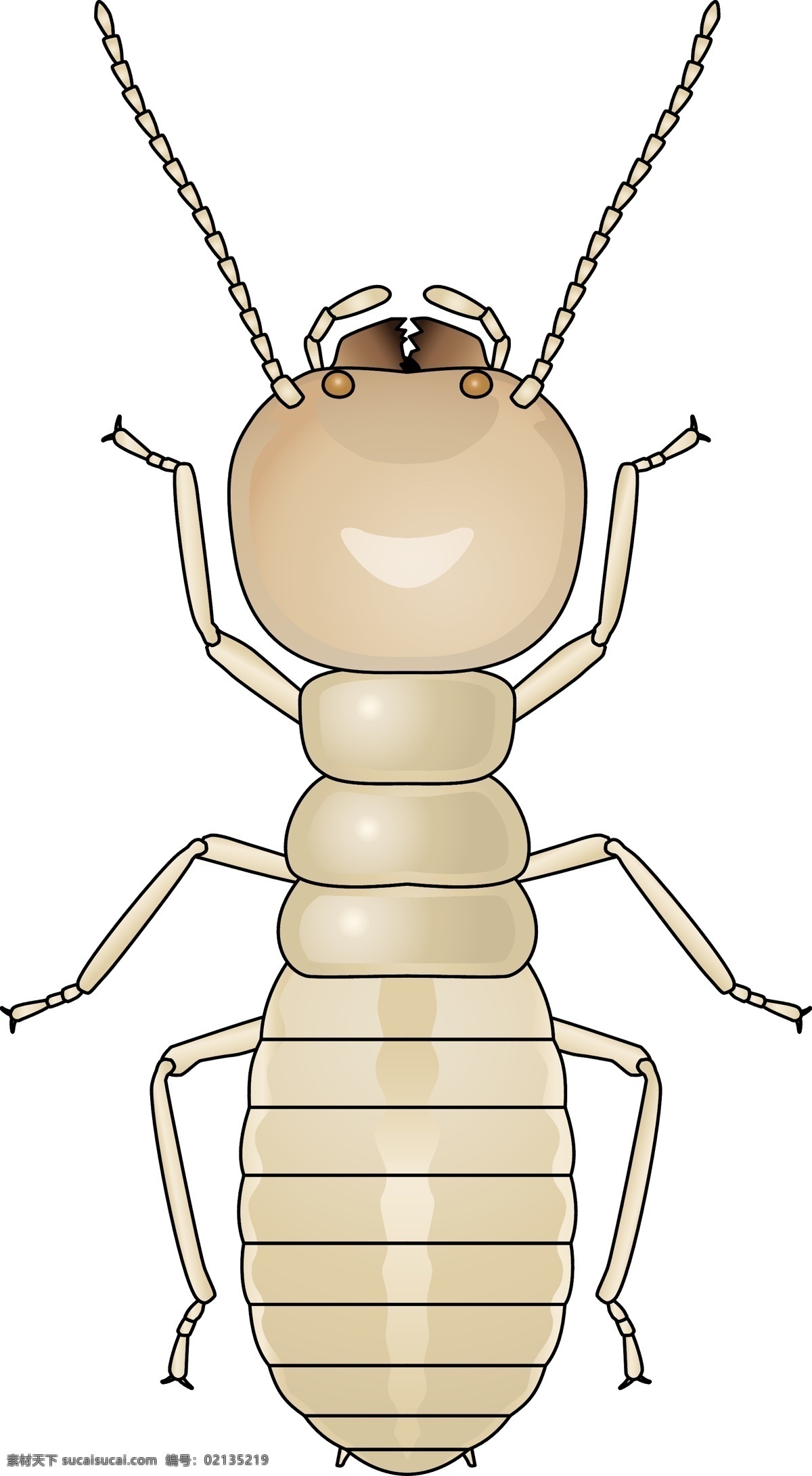 昆虫系列 白蚁 矢量图 昆虫 昆虫纲 动物界 节肢动物 insect 大自然 剪影 户外 野外 虫尉 大水蚁 矢量 动物 昆虫类 生物世界