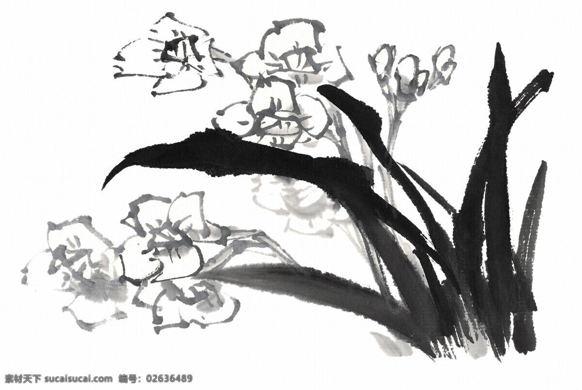水墨花卉 中国画 书画美术 设计素材 水墨画篇 中国画篇 白色