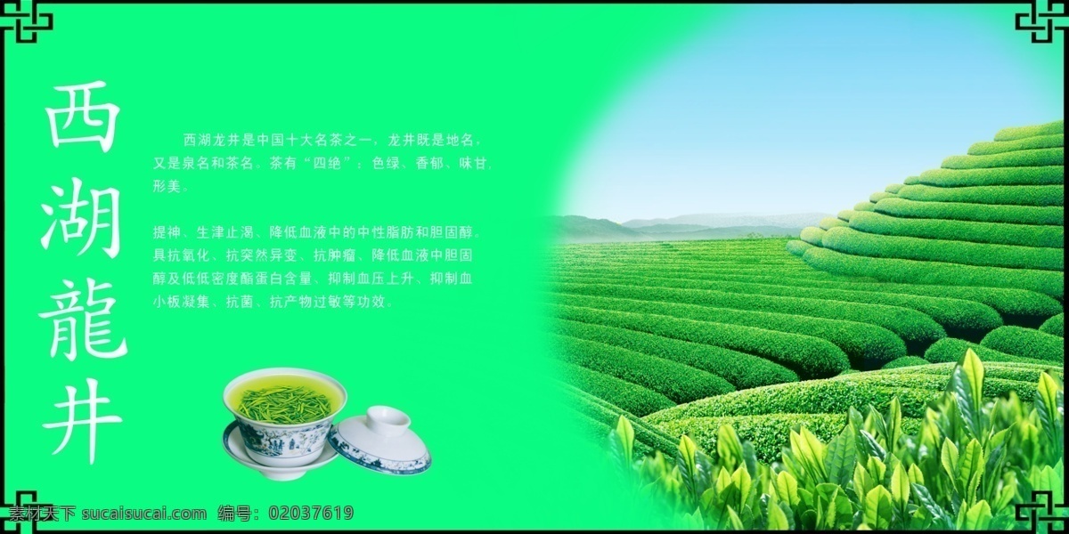 西湖龙井 茶叶 茶叶广告 瓷器 杯子 茶水 茶园 茶具 海报 绿色